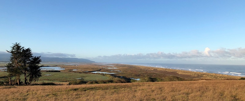 A panoramic view of the beach and ocean that are part of the Ocean Ranch Unit, Eel River Wildlife Area.